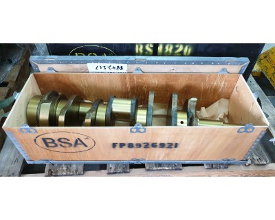 8926921-FP Crankshaft Assy.